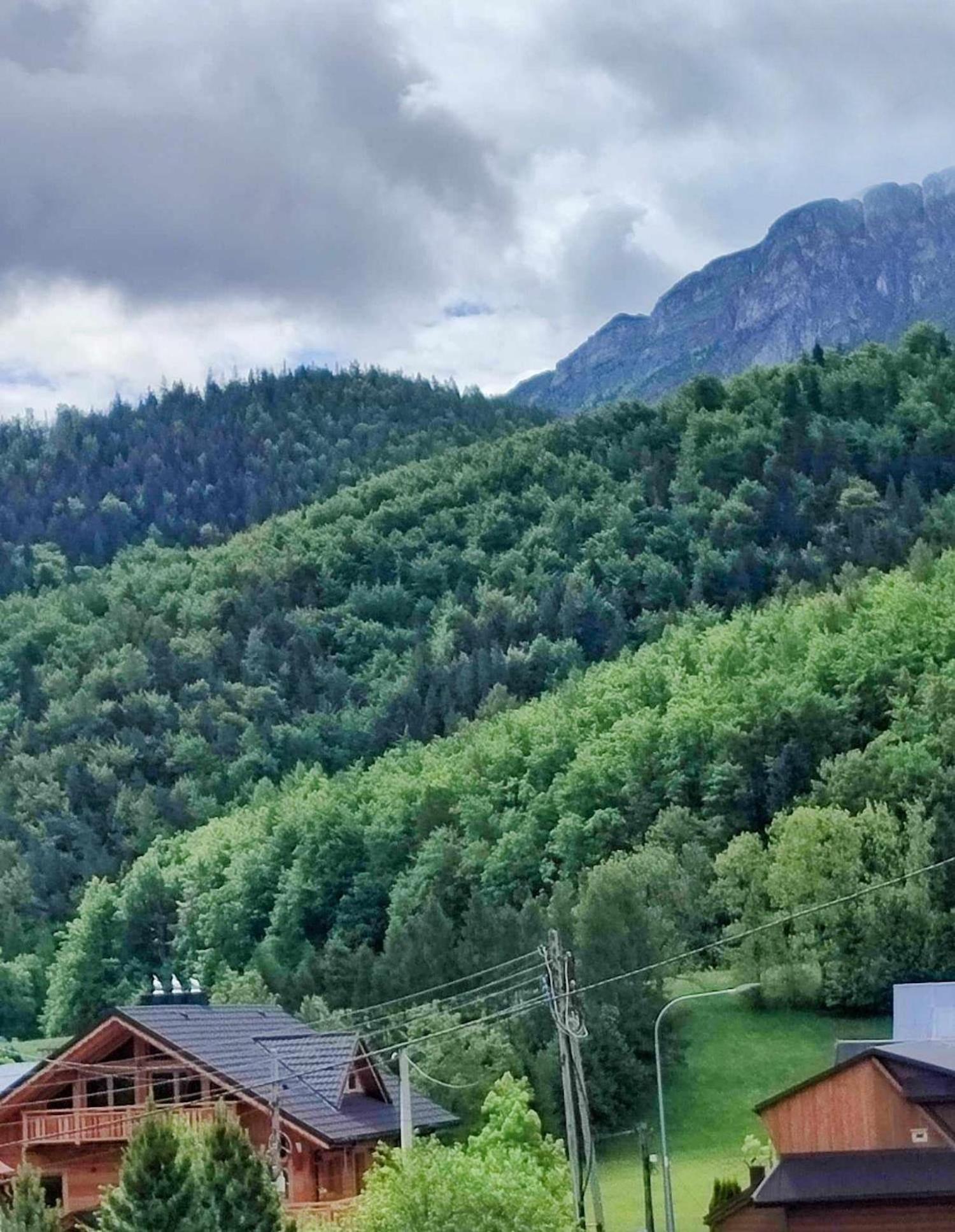 Appartement Dom Lesnik à Zakopane Extérieur photo